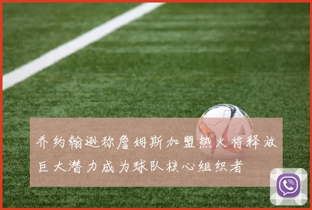 乔约翰逊称詹姆斯加盟热火将释放巨大潜力成为球队核心组织者