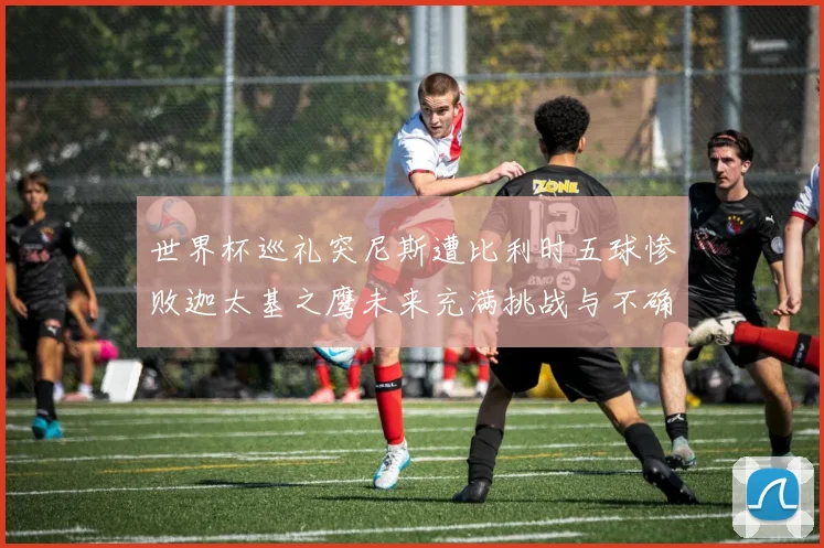 世界杯巡礼突尼斯遭比利时五球惨败迦太基之鹰未来充满挑战与不确定性